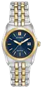 Citizen Watch 3
