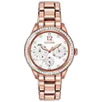 Citizen Watch 4